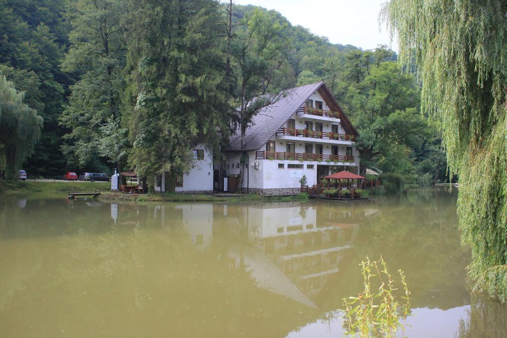Guest House Lacul Linistit Moneasa Værelse billede